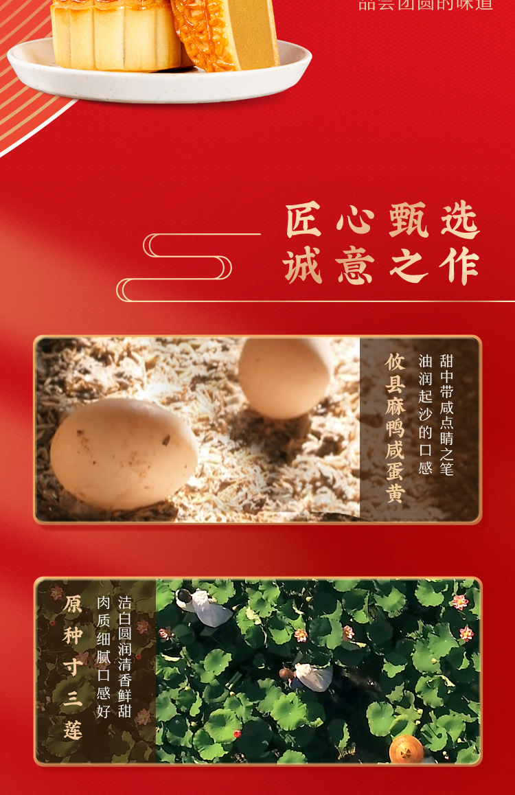 169224626125628727.jpg 七星伴月详情页-(不包含场景图)230719_07.jpg